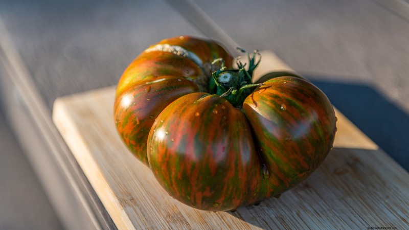 Year-Round Tomato Growing: A Simple Successive Planting Strategy