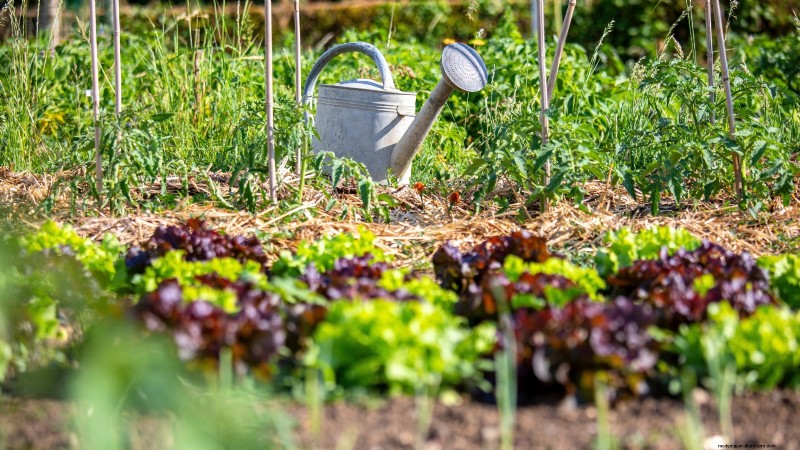 Build a Resilient Survival Garden: Food Security & Self-Reliance