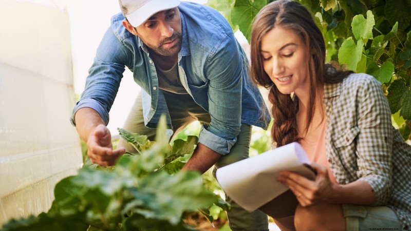 Build a Resilient Survival Garden: Food Security & Self-Reliance