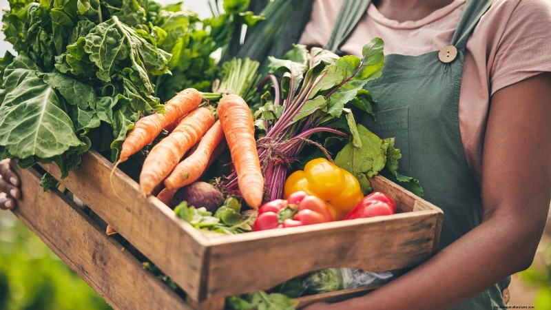 Build a Resilient Survival Garden: Food Security & Self-Reliance