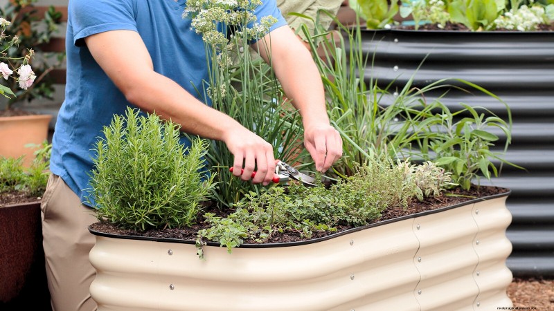 Build a Resilient Survival Garden: Food Security & Self-Reliance