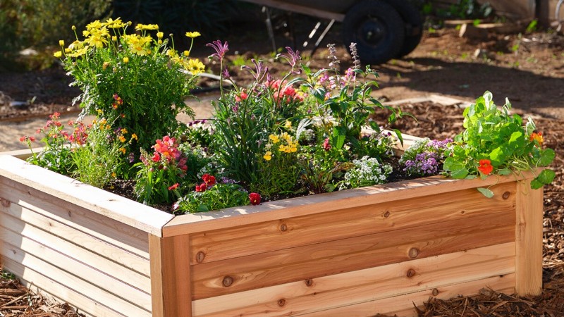 Build a Resilient Survival Garden: Food Security & Self-Reliance