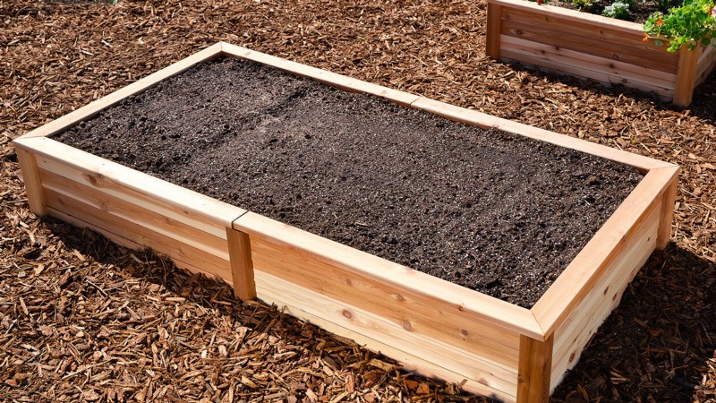Build a Resilient Survival Garden: Food Security & Self-Reliance