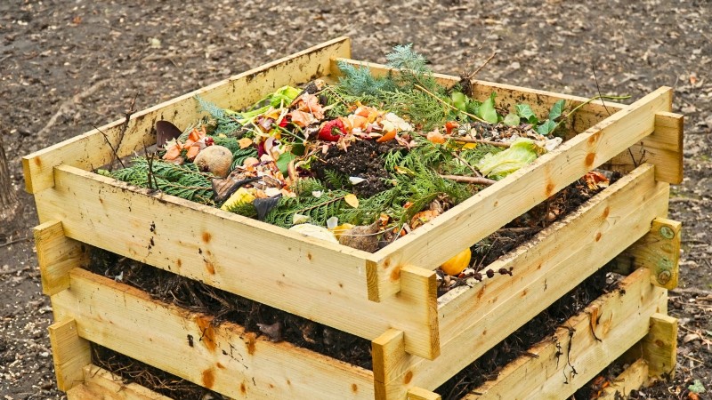 Build a Resilient Survival Garden: Food Security & Self-Reliance