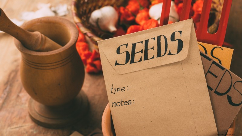 Build a Resilient Survival Garden: Food Security & Self-Reliance