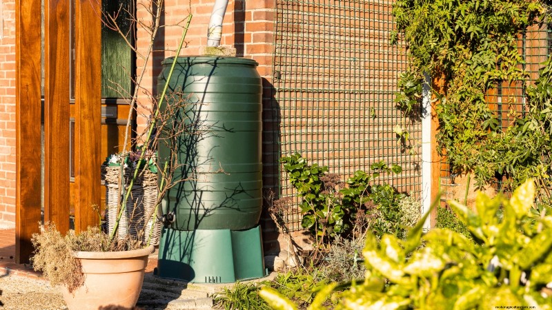 Build a Resilient Survival Garden: Food Security & Self-Reliance