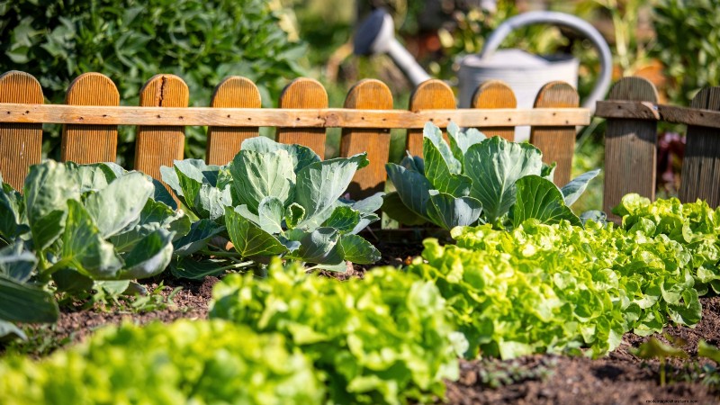 Build a Resilient Survival Garden: Food Security & Self-Reliance
