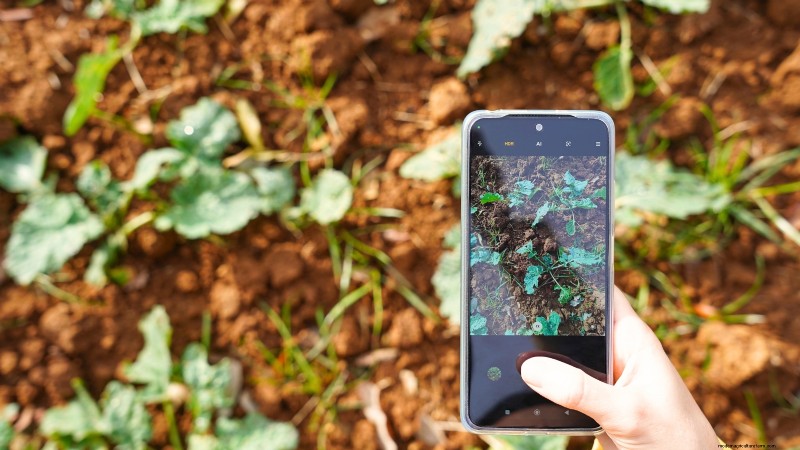 Build a Resilient Survival Garden: Food Security & Self-Reliance