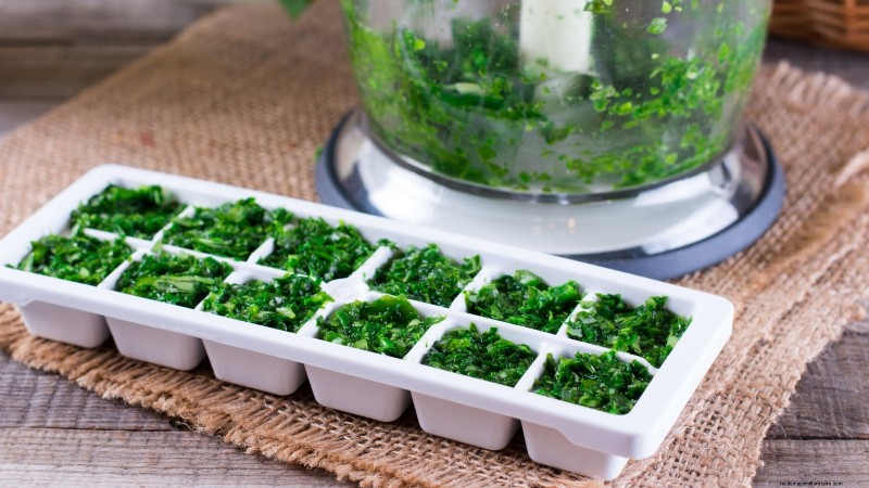Indoor Parsley Growing Guide: 7 Expert Tips for Fresh Herbs