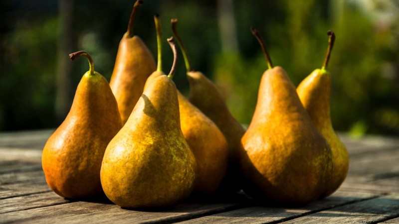 Bosc Pear Tree Guide: Planting, Growing & Care - Expert Tips