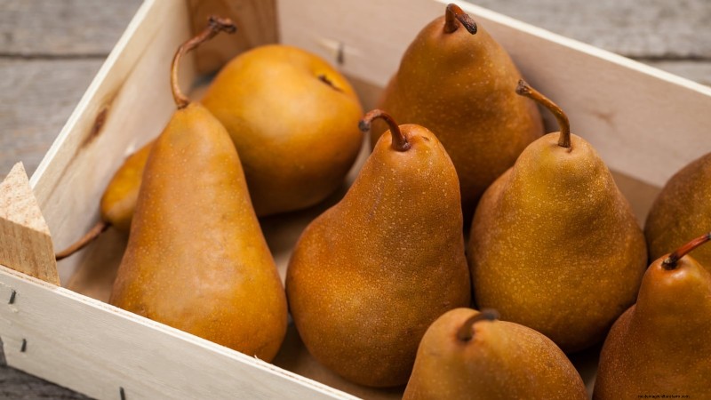 Bosc Pear Tree Guide: Planting, Growing & Care - Expert Tips