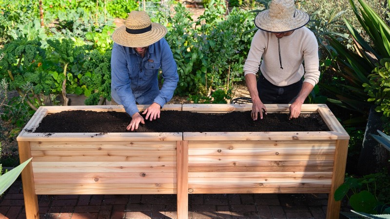 Start a Victory Garden: A Complete 9-Step Guide