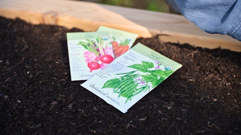 Start a Victory Garden: A Complete 9-Step Guide