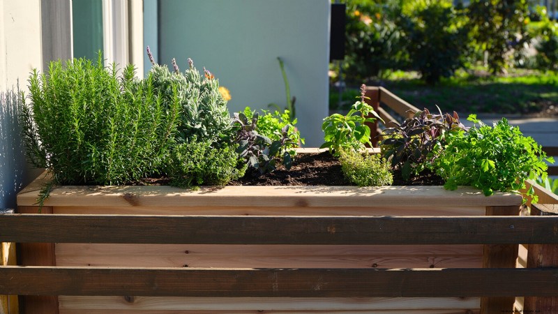 Start a Victory Garden: A Complete 9-Step Guide