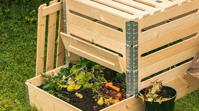 Start a Victory Garden: A Complete 9-Step Guide