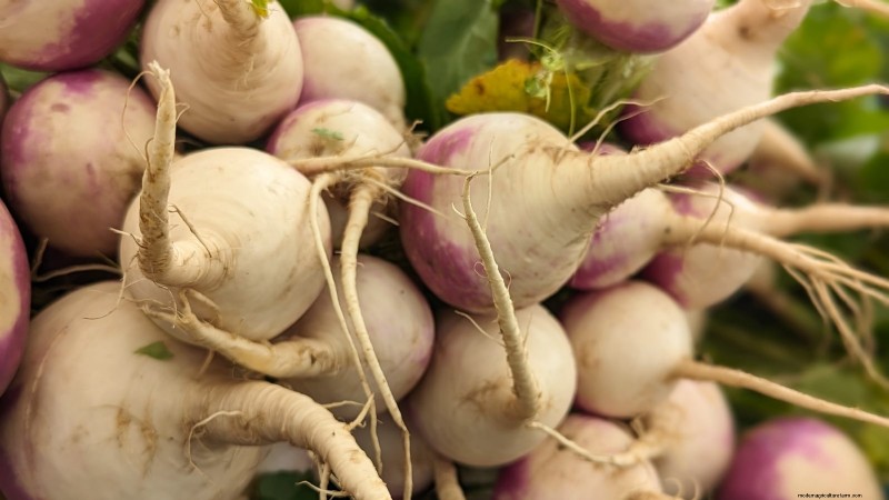 Grow Your Own Food: 17 Essential Crops for a Successful Victory Garden