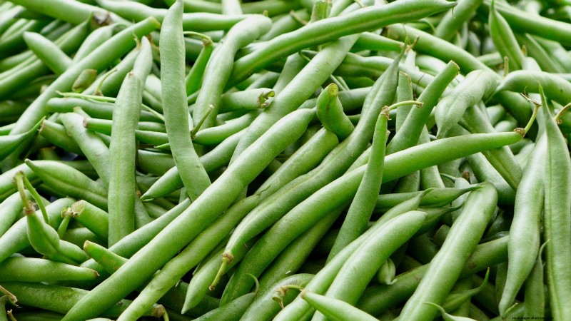 Grow Your Own Food: 17 Essential Crops for a Successful Victory Garden