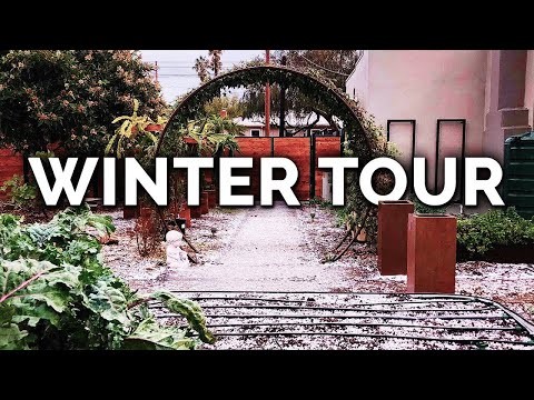 Protect Your Fruit Trees from Frost: Expert Winter Care Tips