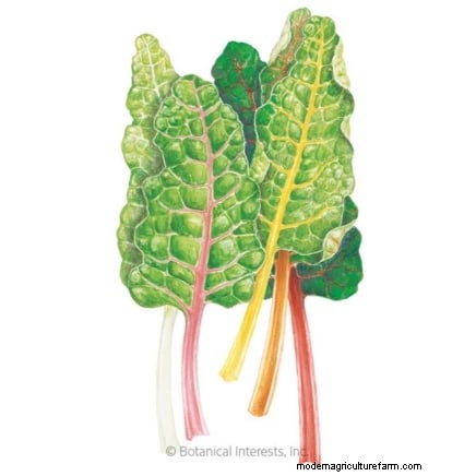 Indoor Edible Gardening: 35 Plants for Winter Harvest