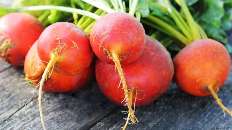 Grow Your Own Nutrient-Rich Microgreens: A Beginner s Guide