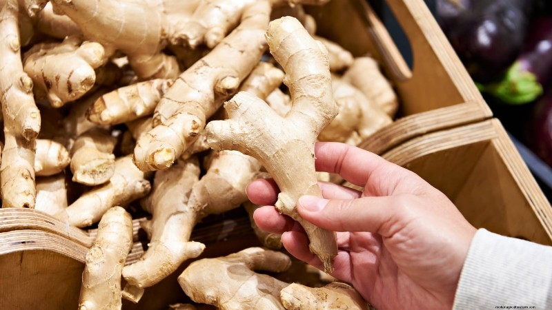 Grow Ginger Indoors: A Complete 7-Step Guide | [Your Website Name]