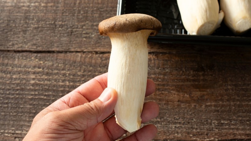 King Trumpet Mushrooms: A Comprehensive Guide to Growing at Home