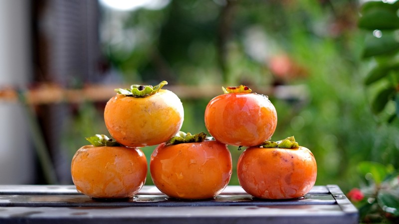 Persimmon Harvesting Guide: Expert Tips for Optimal Ripeness