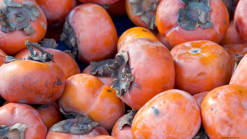 Persimmon Harvesting Guide: Expert Tips for Optimal Ripeness