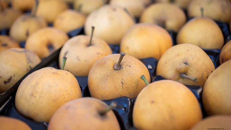 Best Fruit Trees to Plant in November: A Comprehensive Guide
