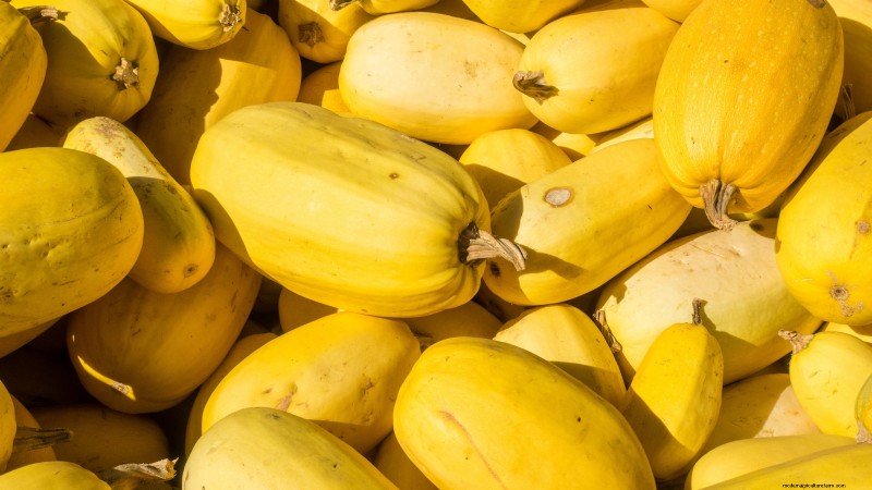 Best Heirloom Squash Varieties for Thanksgiving & Beyond
