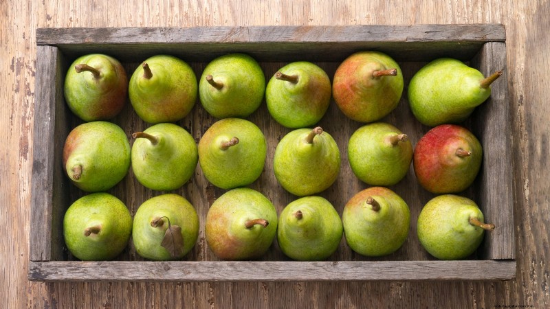 Pear Harvesting Guide: Timing & Techniques for Optimal Flavor