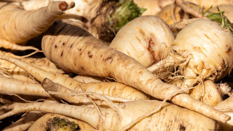 When to Harvest Parsnips: 5 Signs of Peak Flavor