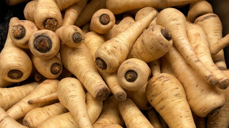 When to Harvest Parsnips: 5 Signs of Peak Flavor