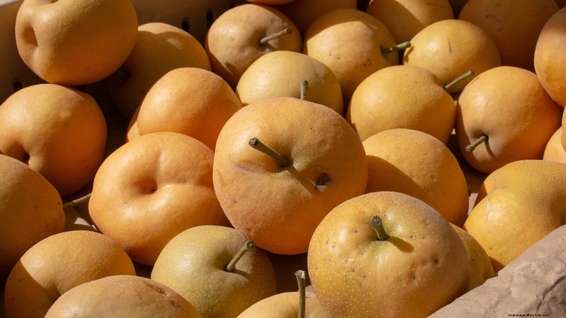Best Pear Tree Varieties for Home Orchards: A Comprehensive Guide