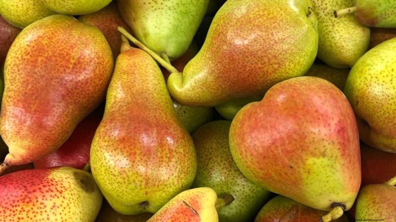 Best Pear Tree Varieties for Home Orchards: A Comprehensive Guide