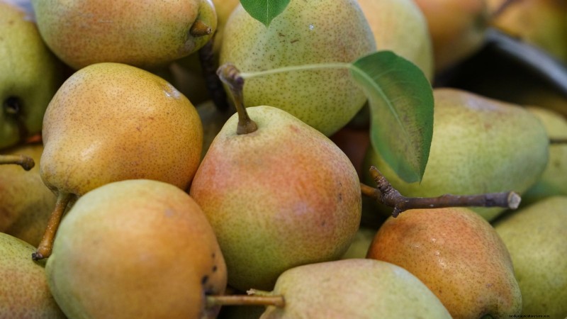 Best Pear Tree Varieties for Home Orchards: A Comprehensive Guide