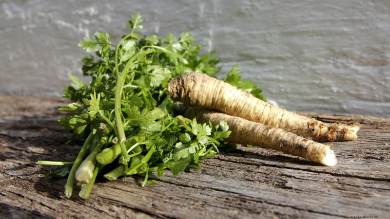 Parsnip Growing Guide: Common Problems & Solutions