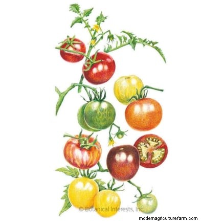 Overwintering Crops: Extend Your Growing Season (Zone 8b Guide)