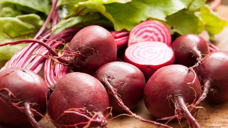 Best Fall Beets to Grow: 11 Varieties for a Harvest