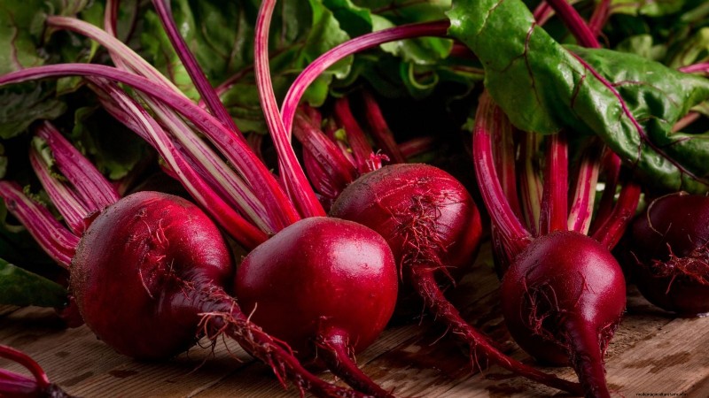 Best Fall Beets to Grow: 11 Varieties for a Harvest