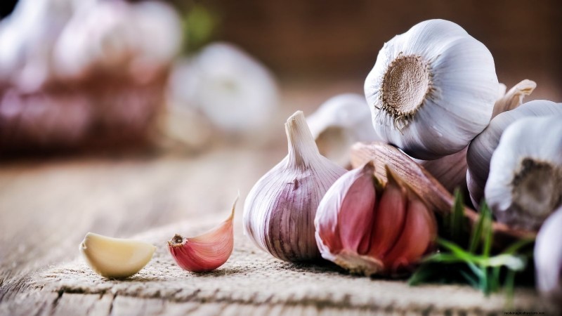 Best Vegetables to Plant in September: A Planting Guide
