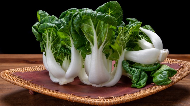 Best Vegetables to Plant in September: A Planting Guide