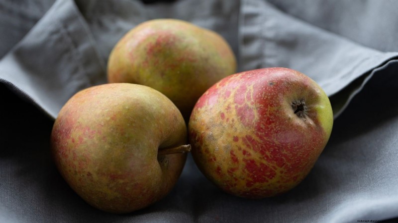Top 15 Sweetest Apple Varieties for a Delicious Harvest