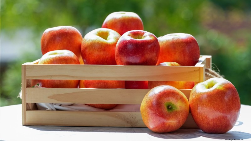 Top 15 Sweetest Apple Varieties for a Delicious Harvest