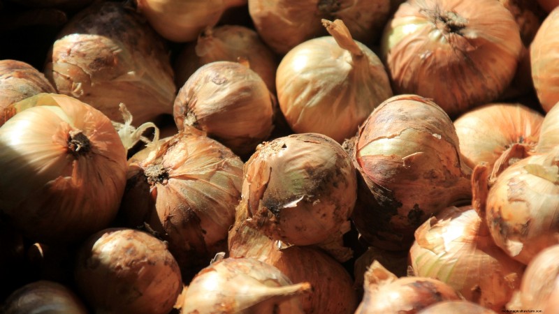 Expert Guide: Harvesting, Curing & Storing Onions and Garlic