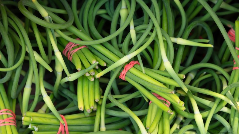 Expert Guide: Harvesting, Curing & Storing Onions and Garlic
