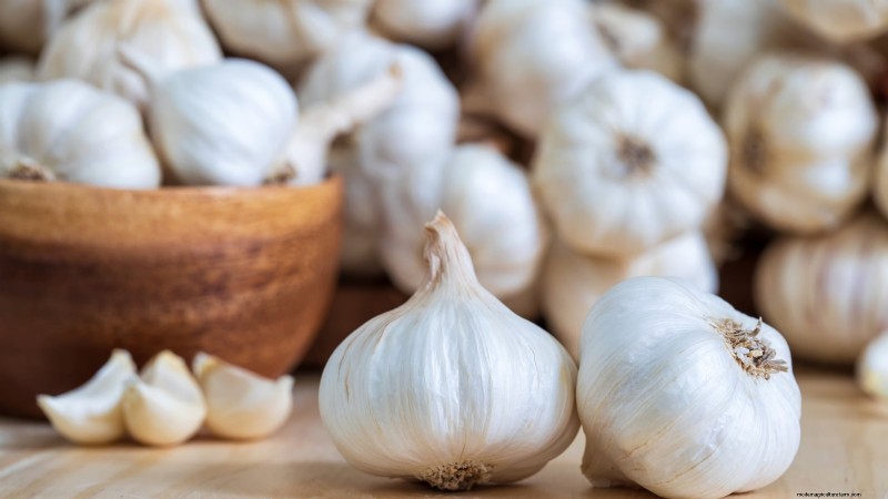 Silver White Garlic: Planting, Growing & Care Guide | [Your Brand/Website]