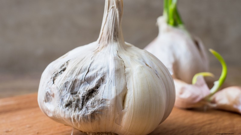 Silver White Garlic: Planting, Growing & Care Guide | [Your Brand/Website]
