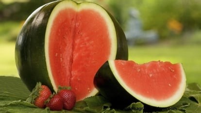 Growing Sugar Baby Watermelons: A Beginner s Guide