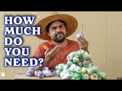 Choosing Quality Seed Garlic: A Guide for Growers